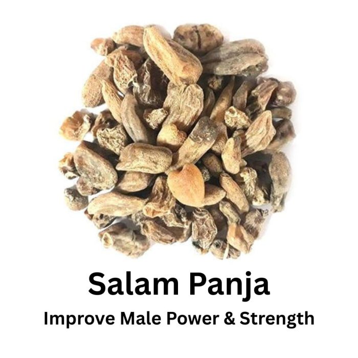 Salam Panja