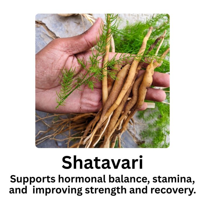 Shatavari